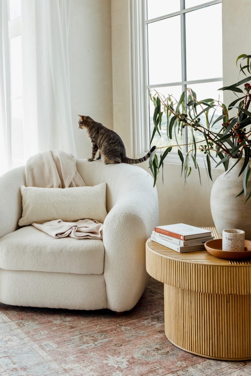 Cozy armchair nook with cat.